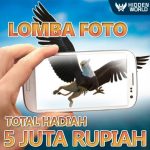 Lomba Foto Hidden World