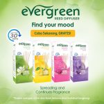 Free Sample Evergreen Reed Diffuser