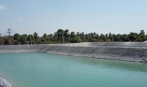 Memilih Geomembrane yang Tepat untuk Tambak Ikan