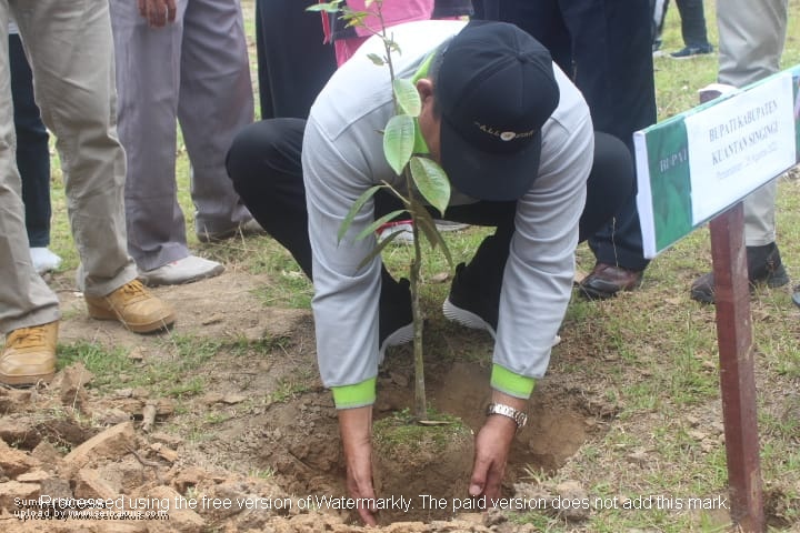 Cintai Lingkungan, Mahasiswa Biologi Siap Lakukan Rehabilitasi Hutan