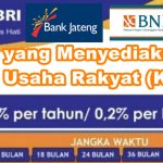 Bank yang Menyediakan Kredit Usaha Rakyat (KUR)