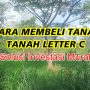 Cara Membeli Tanah yang Masih Letter C