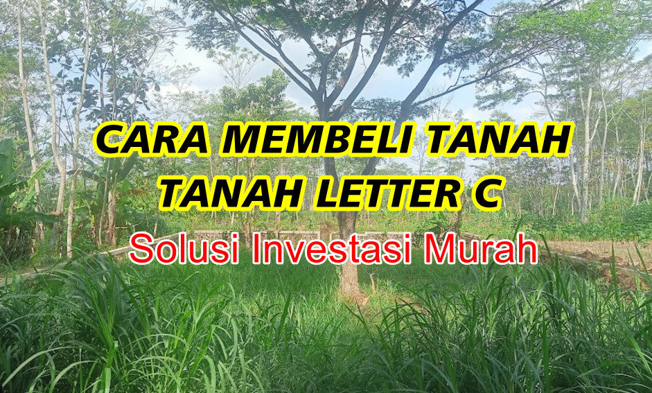 Cara Membeli Tanah yang Masih Letter C 