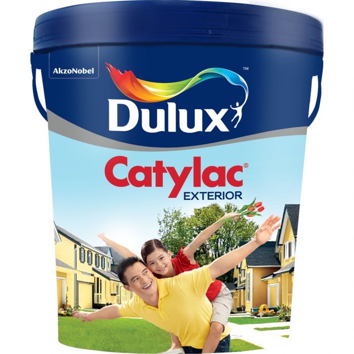 cat dulux